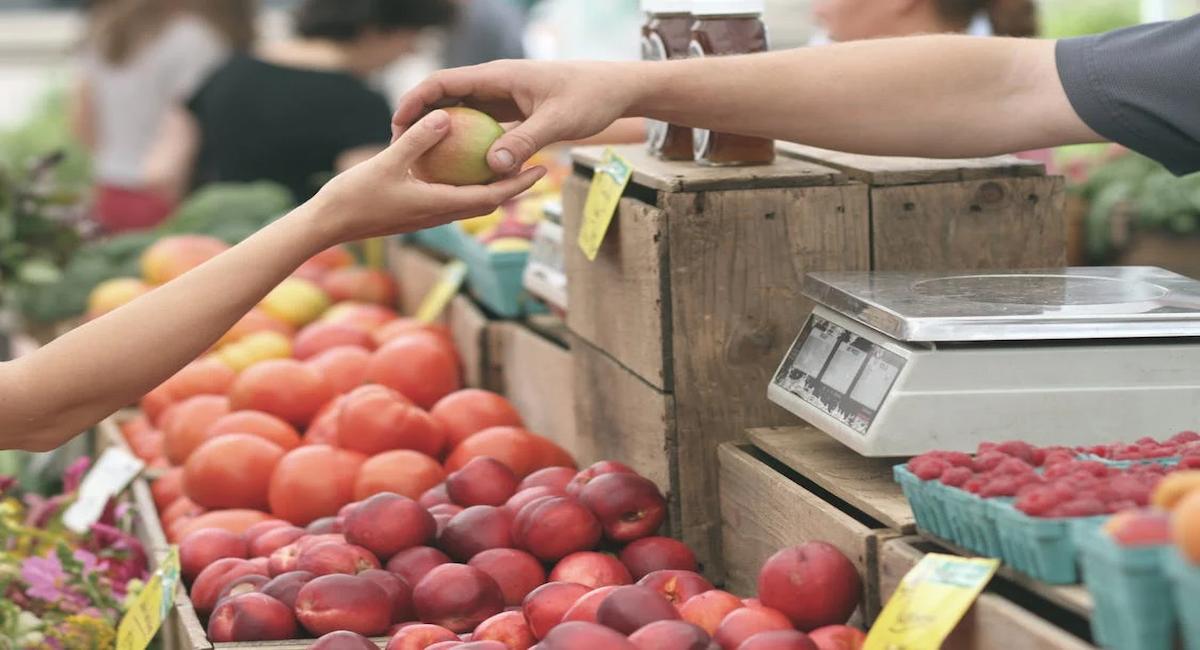 Los agricultores mayores de 65 años gestionan en su mayor parte explotaciones menores de 8.000 euros de dimensión económica. | Foto: Pexels