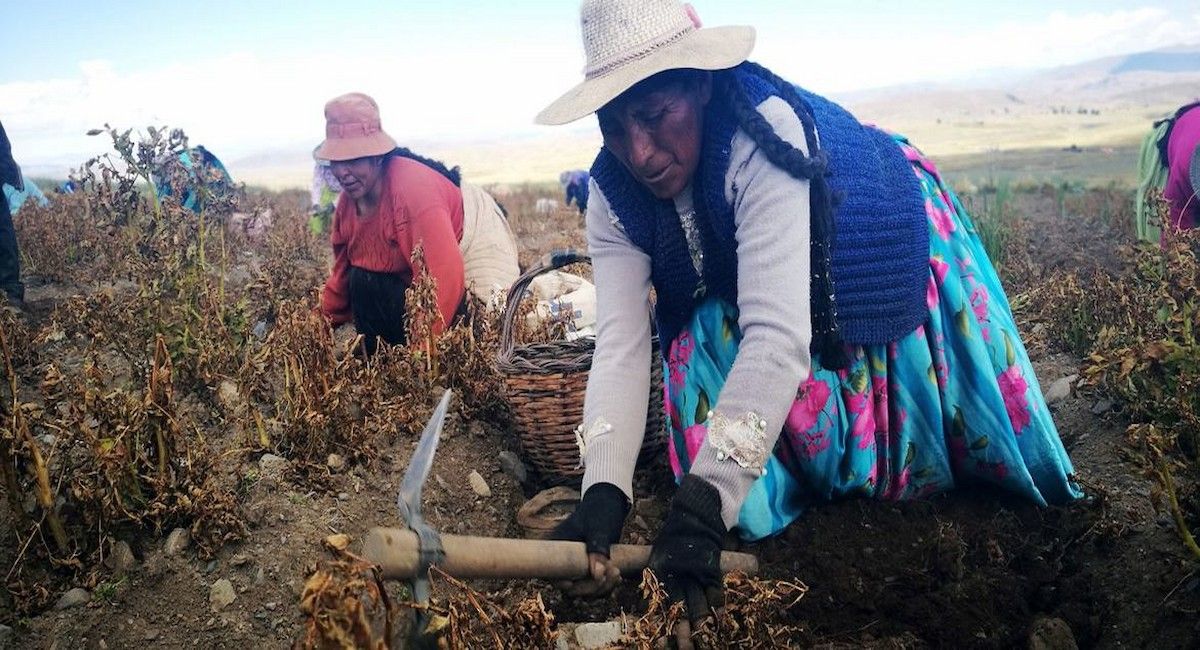 El nuevo informe incide en la necesidad urgente de acelerar la acción frente al cambio climático. | Foto:  FAO/R. Pérez Albrecht