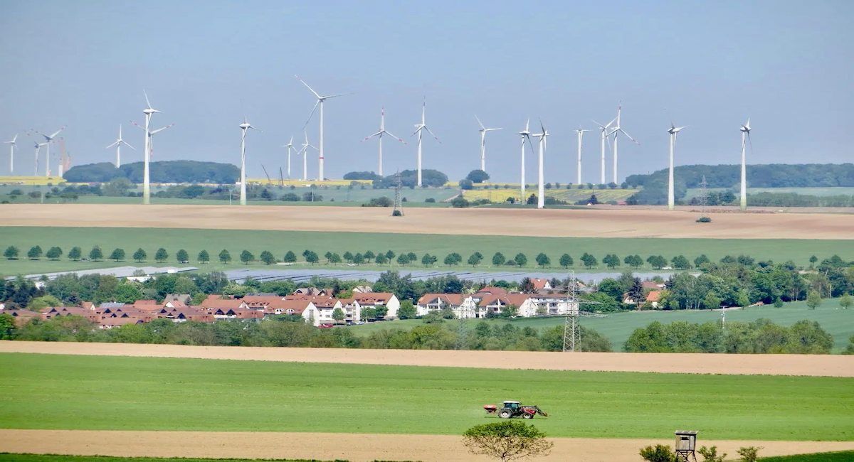 El estudio ha utilizado datos sobre las características funcionales de las plantas en varias zonas de Alemania. | Foto: Biodiversity Exploratories.