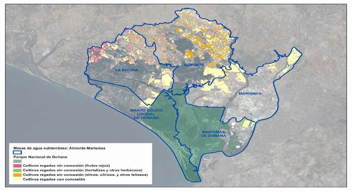 Sin noticias sobre las intenciones del gobierno de Moreno Bonilla, WWF calcula que la superficie regada ilegalmente en el acuífero de Almonte-Marismas asciende a 3.983 hectáreas, equivalente a 4.827 campos de fútbol. | Foto: WWF