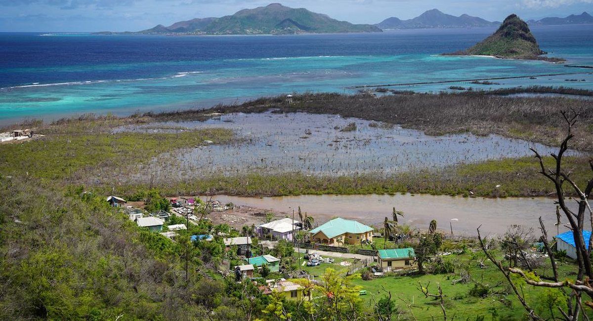 Vista general de 6 hectáreas de manglares perdidas en el Caribe, que revelan que se trata de mucho más que una mera catástrofe medioambiental. | Foto:  OIM/Gema Cortés