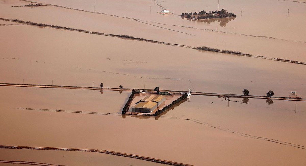 Imagen aérea que muestra cómo los arrozales de la Albufera han quedado anegados. | Foto: Nacho Doce / REUTERS España/Ecologistas en Acción