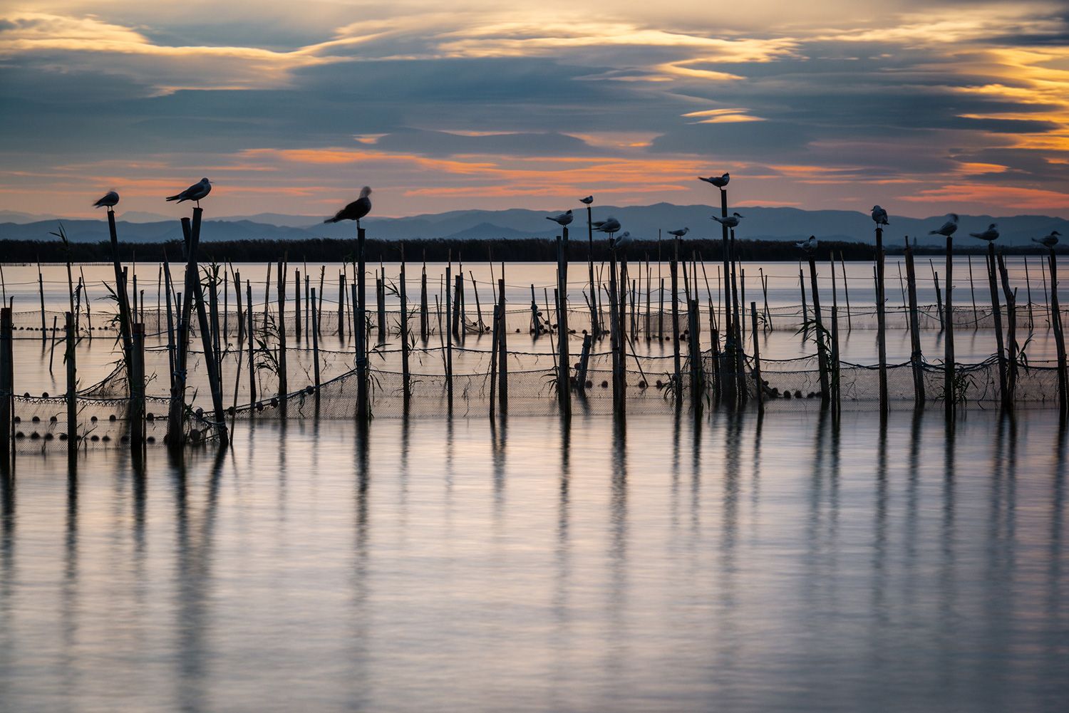 Albufera