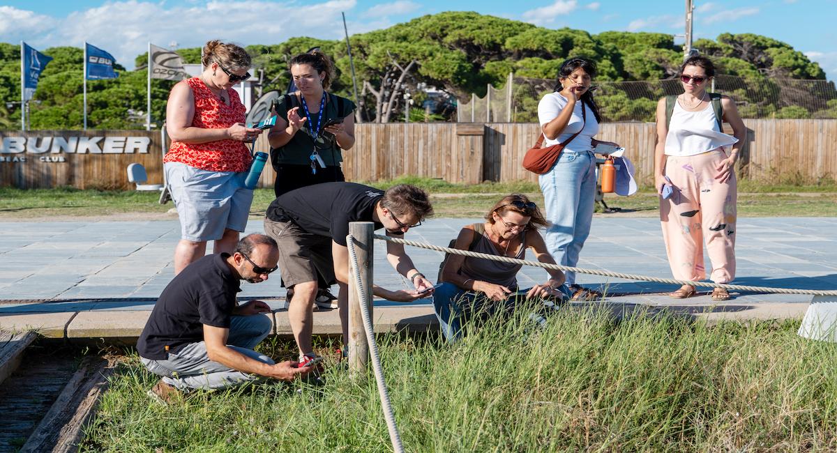 La ciencia ciudadana permite que cualquier persona contribuya a la investigación científica, como sucede en el proyecto BioPlatgesMet, que registra la biodiversidad de dunas y playas metropolitanas, y que está siendo desarrollado en España. | Foto: MINKA (EMBIMOS-ICM-CSIC)