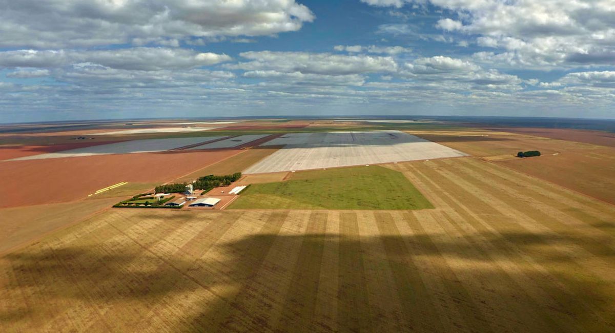 La Unión Europea (UE) es responsable de más del 10% de la deforestación global debido a la importación de materias primas como la soja. | Foto: Ecologistas en Acción