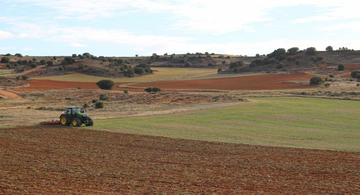 Cada vez más empresas del sector de la alimentación ecológica en España proponen recuperar la agricultura tradicional, ecológica y sostenible, diversificando la variedad de cultivos de cereal  | Foto: Biogran