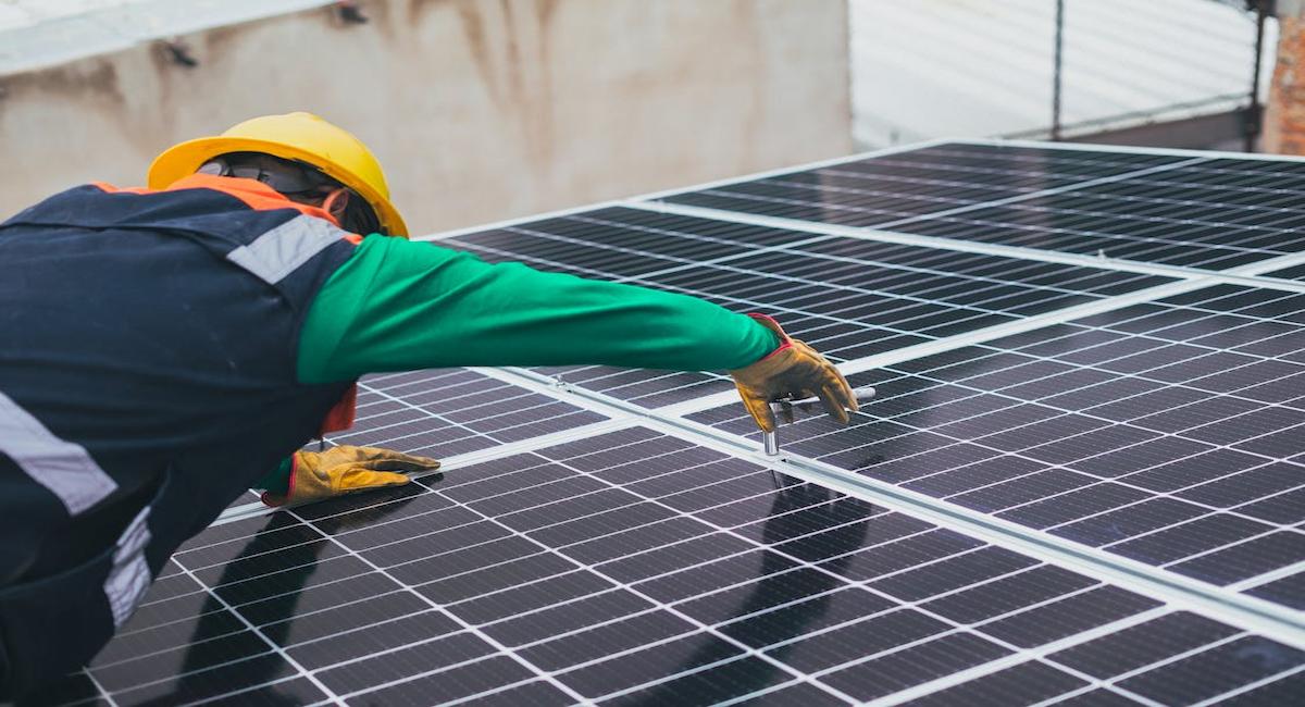 WWF pide al Gobierno planificar el desarrollo de las renovables para asegurar una transición justa y un sistema eléctrico gestionable. | Foto: Pexels