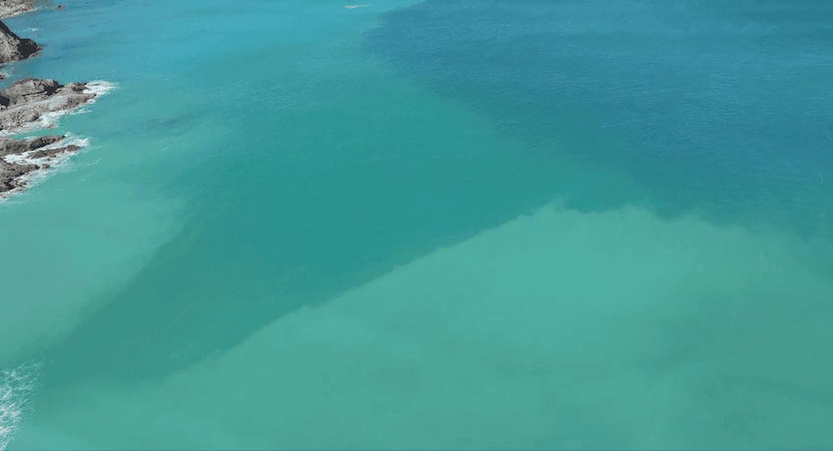 Vista aérea de la contaminación de la ría de Vigo. | Foto: Ecologistas en Acción