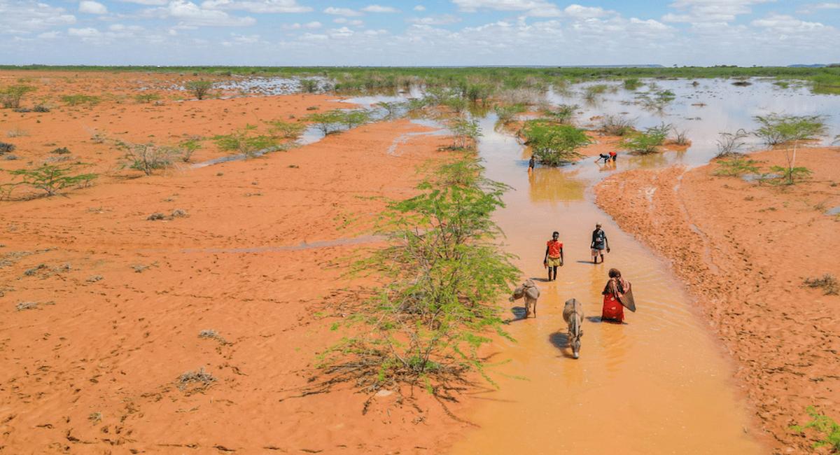 Los extremos climáticos –que son cada vez más frecuentes y severos debido al cambio climático– están dañando a uno de cada tres menores, obligándolos a abandonar sus hogares. | Foto: Awale Koronto/ Save the Children