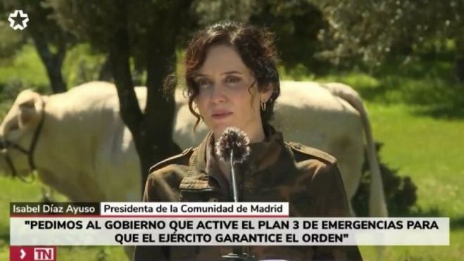 Ayuso se encontraba paseando con vacas en Guadalix de la Sierra Ayuso se encontraba paseando con vacas en Guadalix de la Sierra