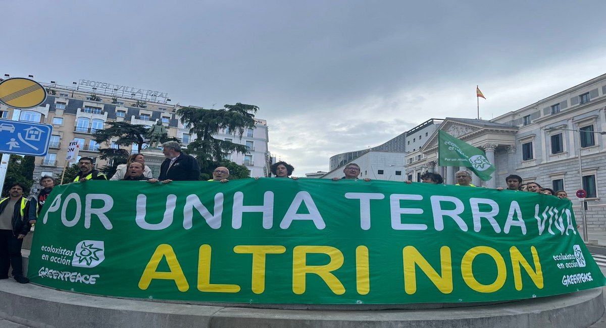 Representantes de la Plataforma Ulloa Viva, Ecologistas en Acción y Greenpeace piden al Gobierno frente al Congreso de los Diputados que no conceda ayudas a Altri.