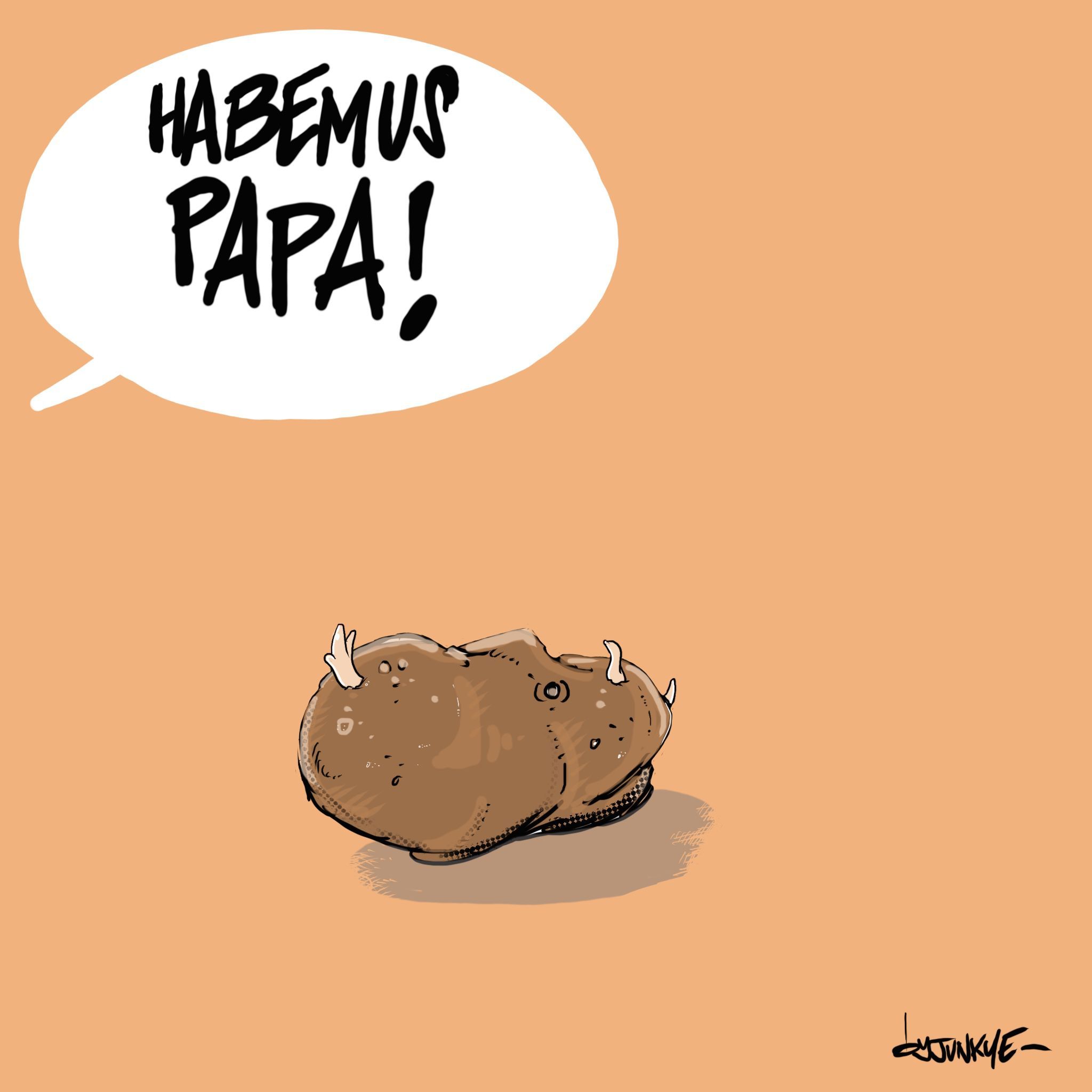 Habemus Papa!