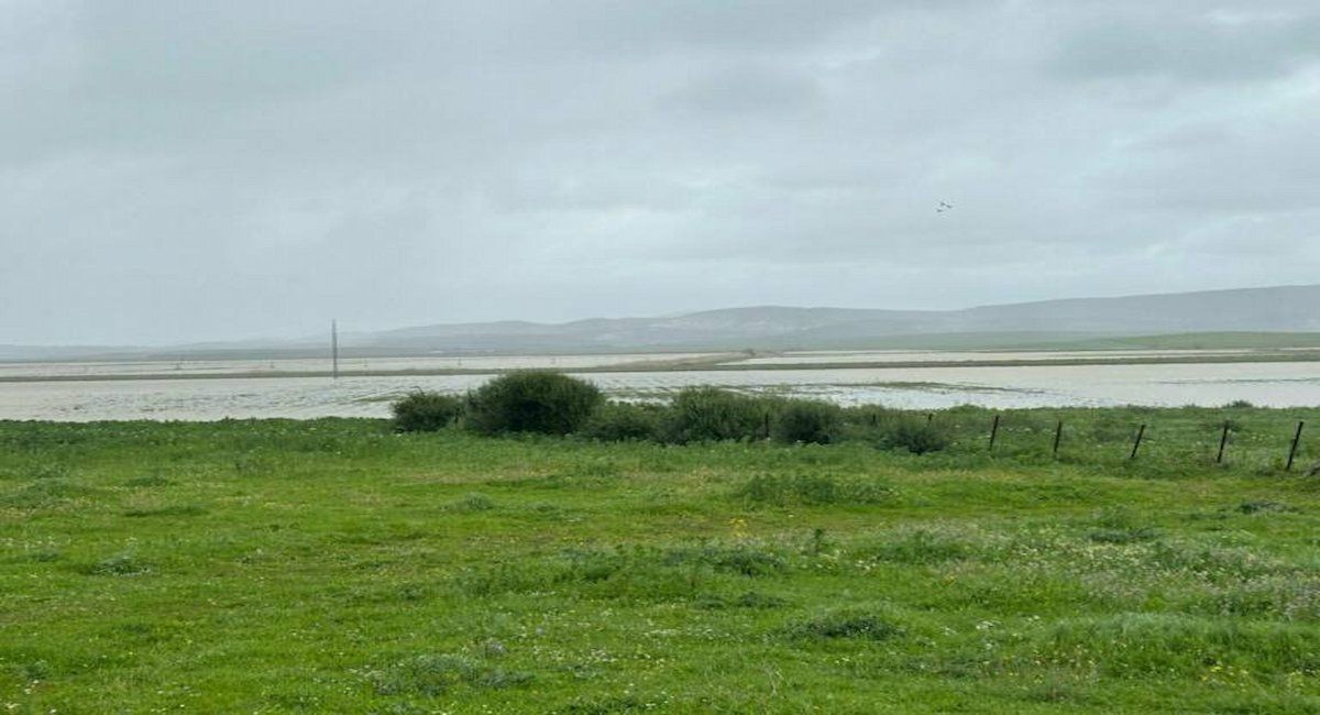 La laguna de la Janda, protagonista del debate sobre la inacción del Estado en su recuperación. | Foto: Ecologistas en Acción