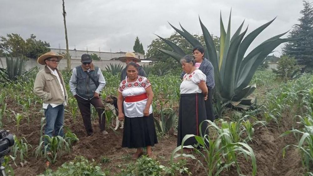 Foto: GIAHS/ Mexico, Meteplante. Foto: GIAHS/ Mexico, Meteplante.