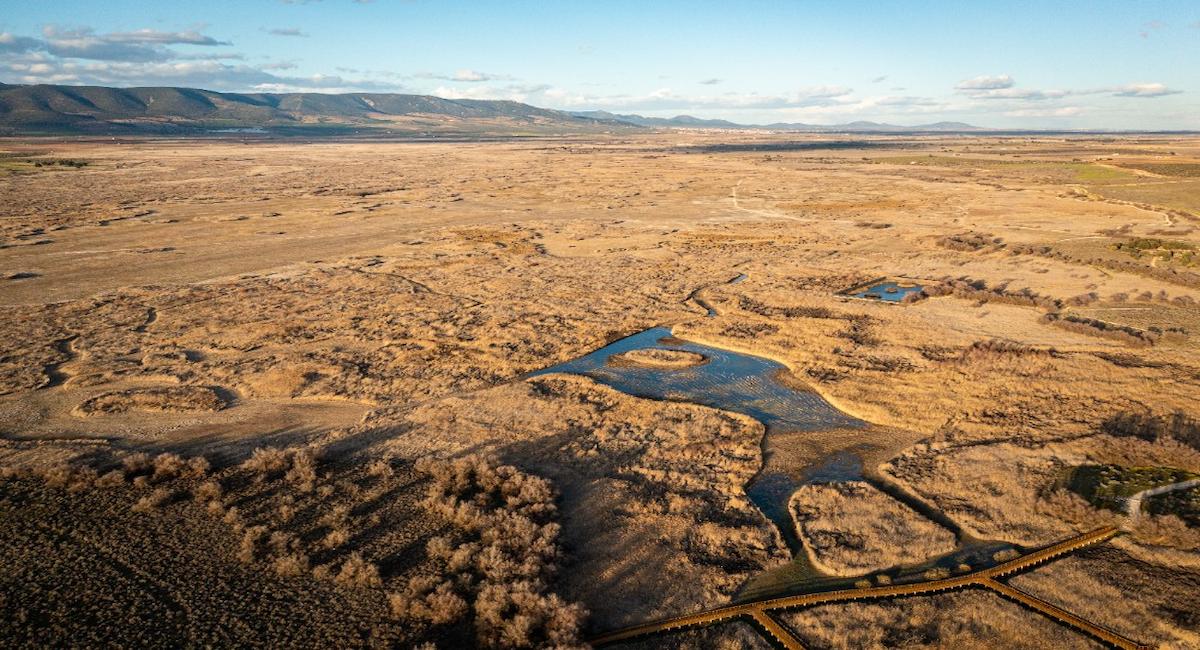 A pesar de que Las Tablas de Daimiel figuran en la Lista Montreux de Ramsar desde 1990, debido a la sobreexplotación del acuífero 23 y a la falta de adaptación de su gestión a los efectos del cambio climático, 35 años después, la situación actual sigue igual y sin solución a la vista. | Foto: WWF