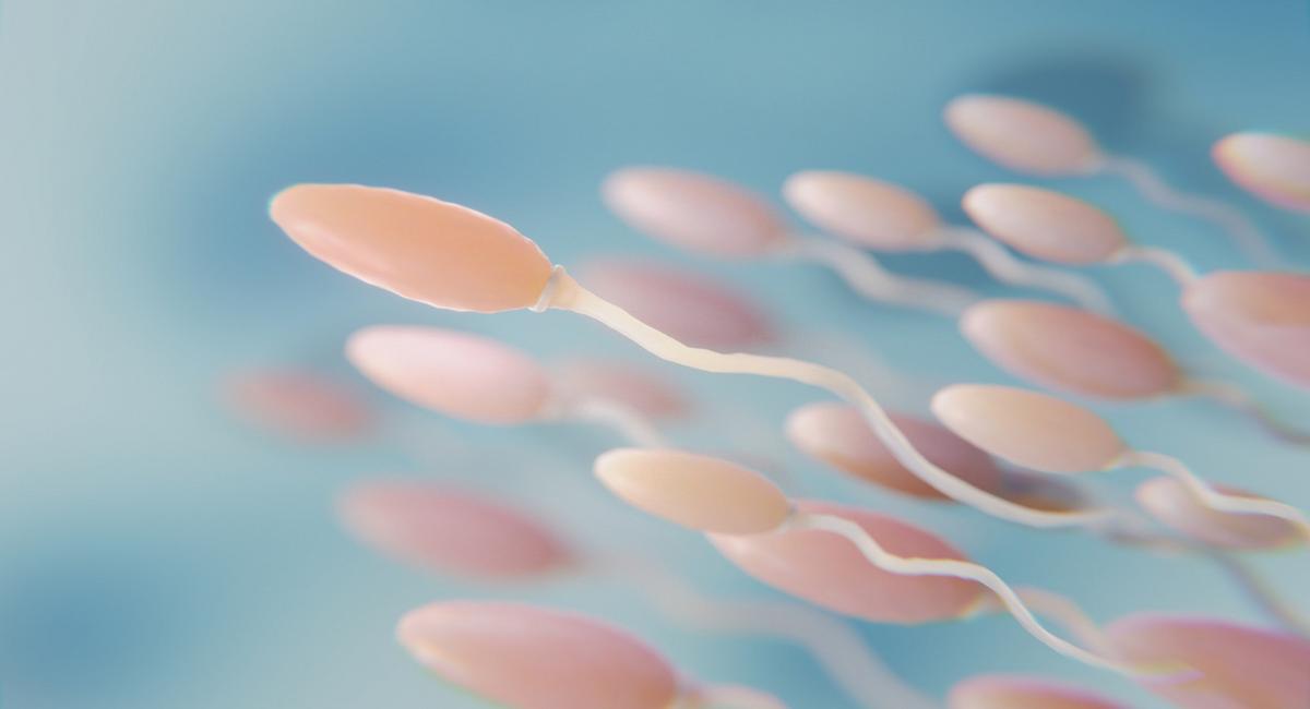 Un donante de esperma era portador de una mutación patogénica. | Foto: Freepik