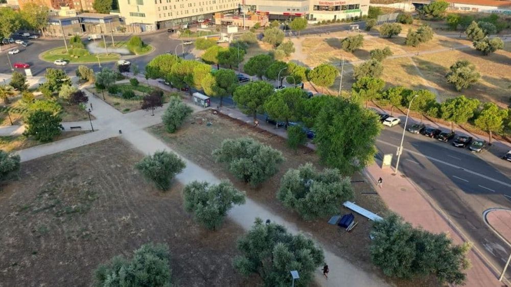 Parque de los Olivos de Móstoles.