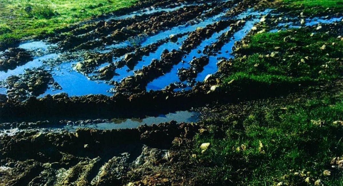 El incremento en la cabaña Castellano-Manchega por parte del gobierno puede resultar devastador para el medio ambiente y las personas.