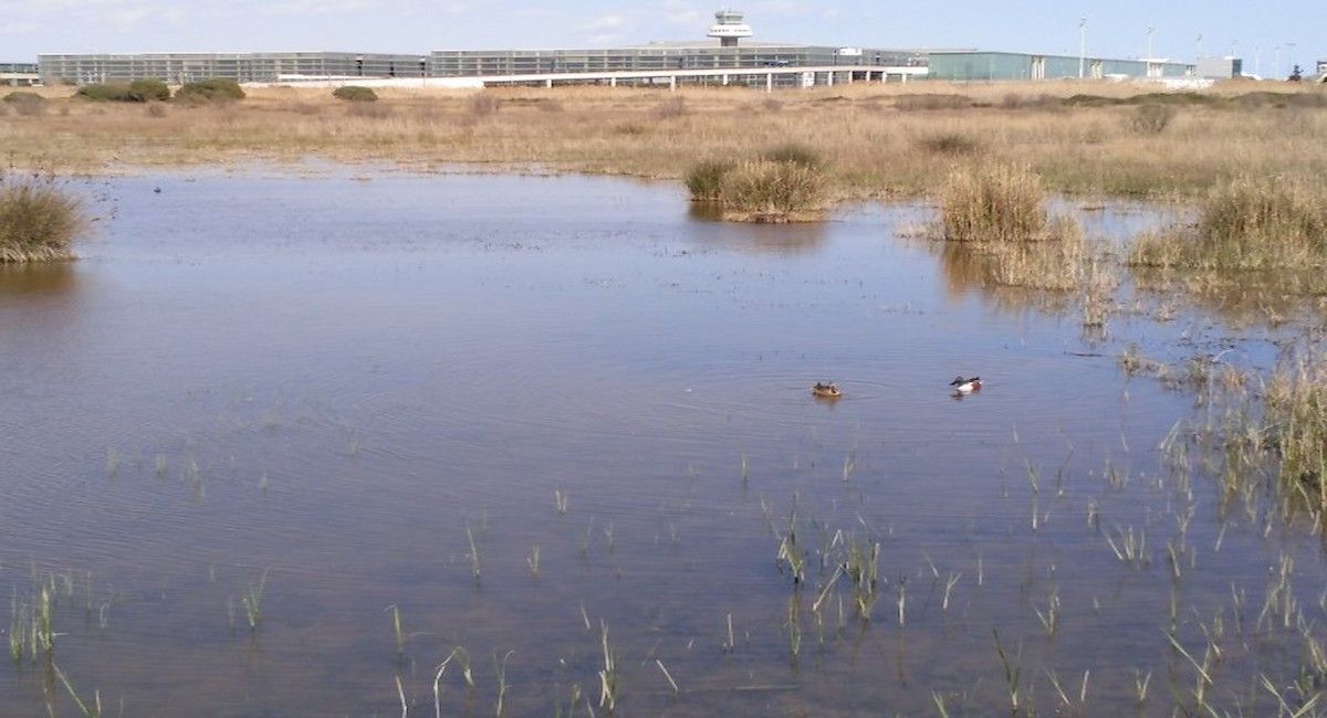 Aeropuerto El Prat. | Foto: DEPANA