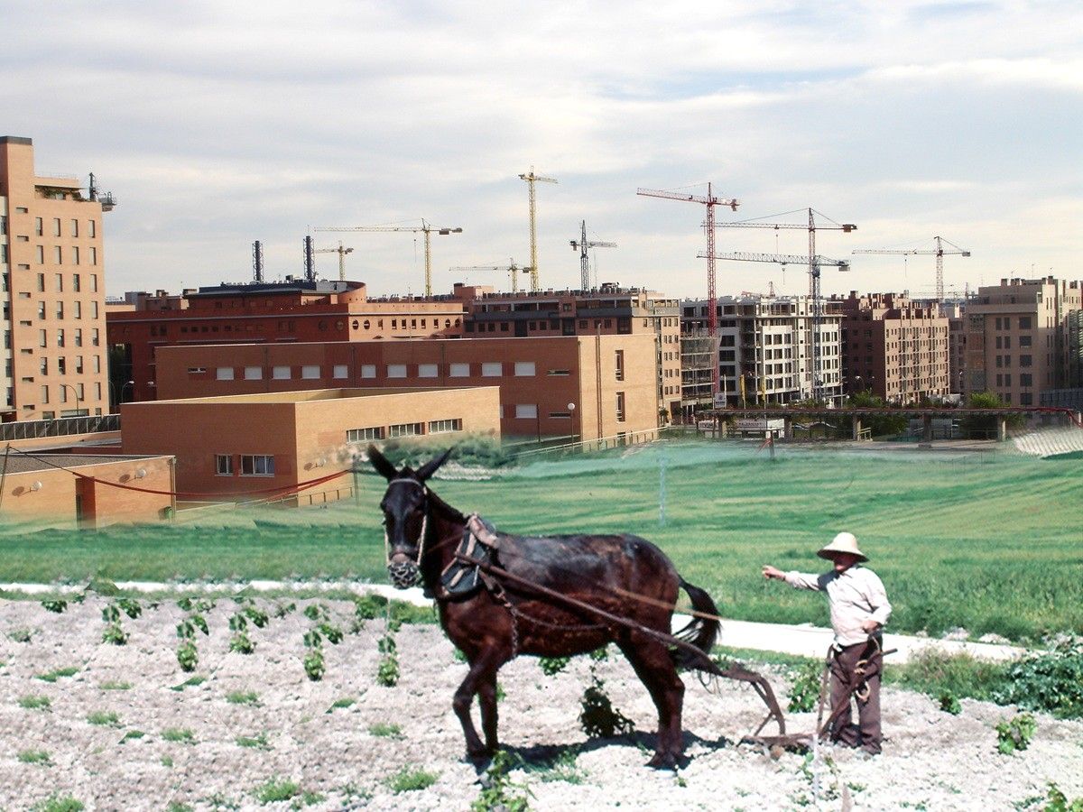 El campo urbanizado. Montaje Yuma