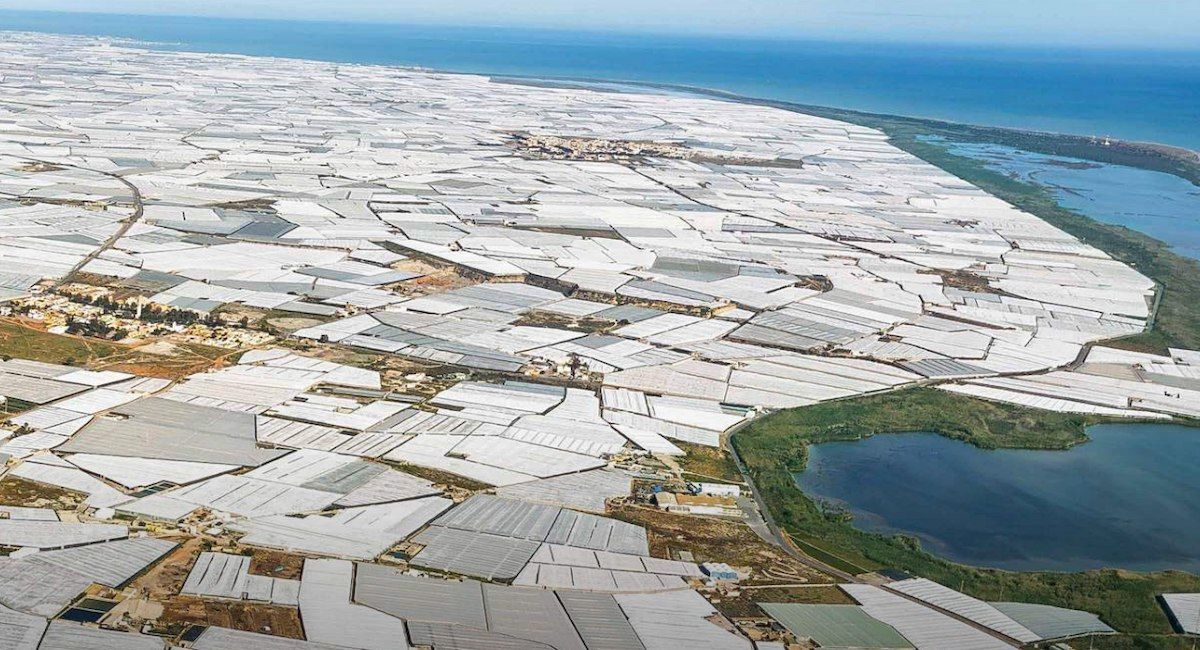 Lagunas costeras bajo presión por el cultivo intensivo de hortalizas que después comercializan las cadenas de supermercados alemanas. | Foto: Ecologistas en Acción
