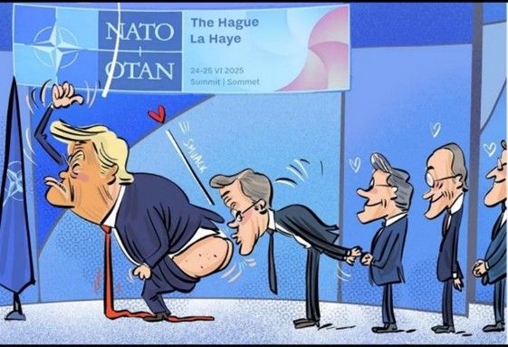 TRUMP, EL PRIMO DE ZUMOSOL