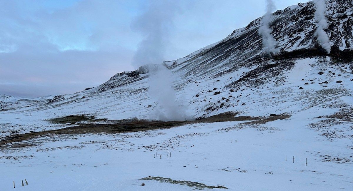 Pradera subártica del suroeste de Islandia donde se ha investigado que el calor vacía la despensa de nitrógeno del suelo. | Foto: Proyecto SOCRATES