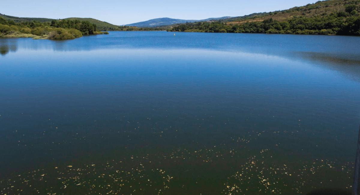 AsConchasVictoria 1024x591