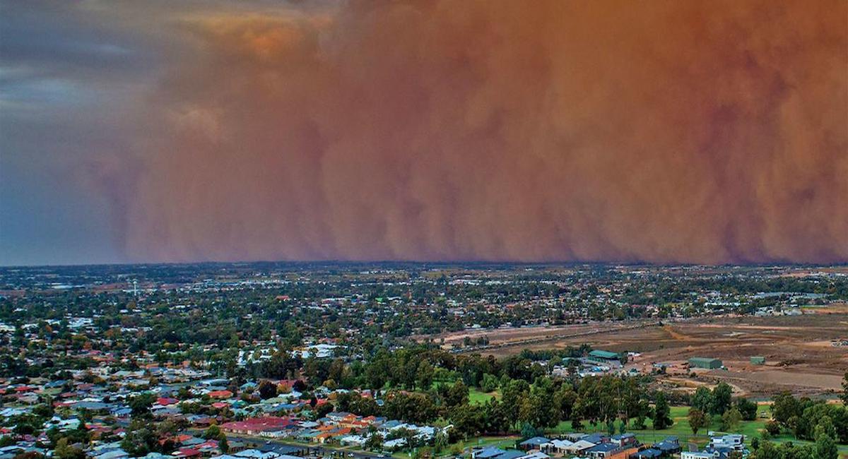 Tormenta de polvo en Mildura, Victoria, Australia. Además de las repercusiones medioambientales, estos fenómenos meteorológicos tienen profundas repercusiones en las personas y la economía. | Foto: Robert Klarich