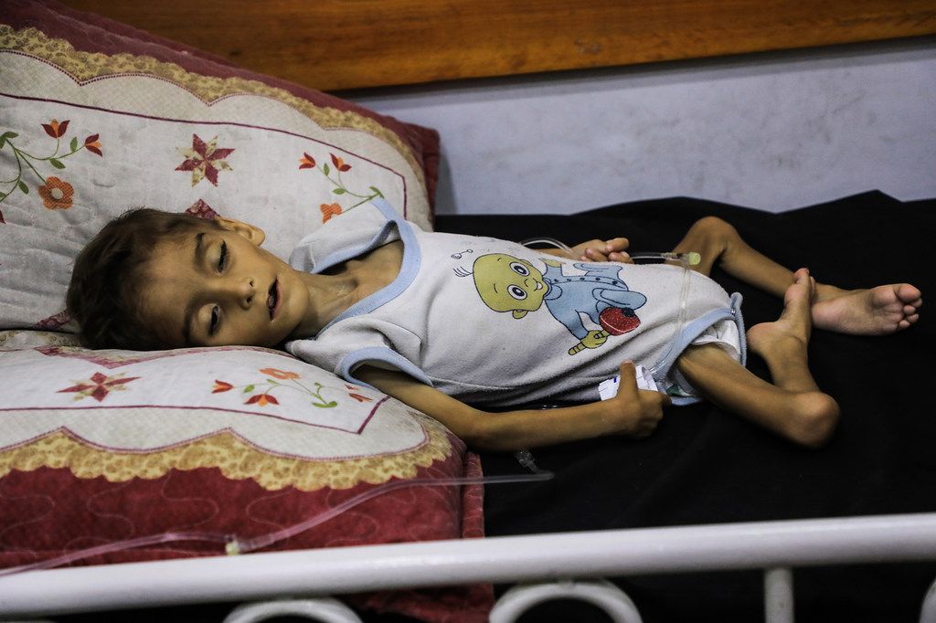 Gaza Hambruna Colapso