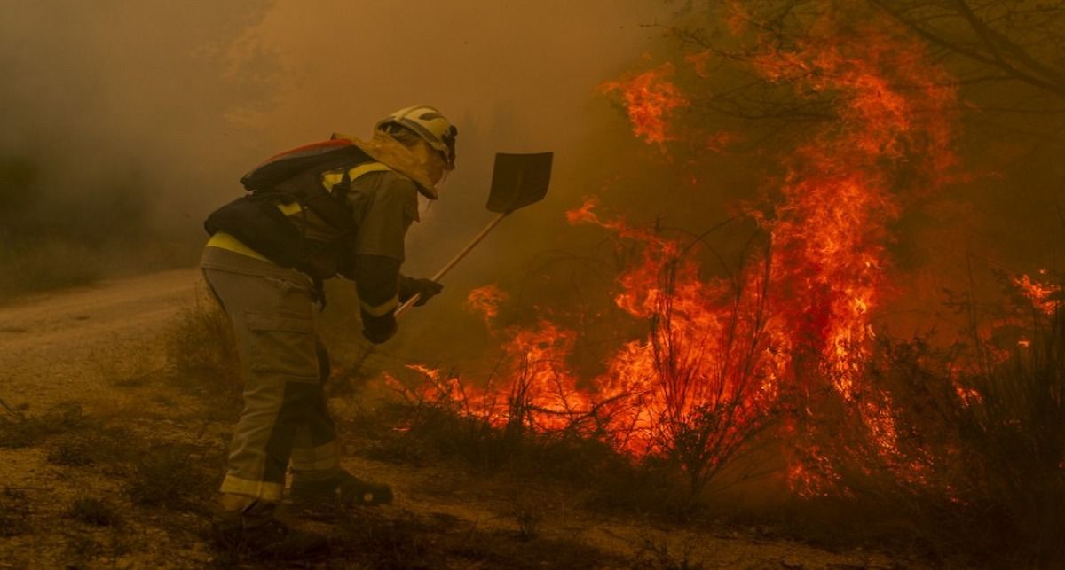 WWF exige acción urgente y decisiva en la prevención de incendios forestales que, agravados por los efectos negativos de la crisis climática, son cada vez más difíciles de apagar. | Foto: WWF