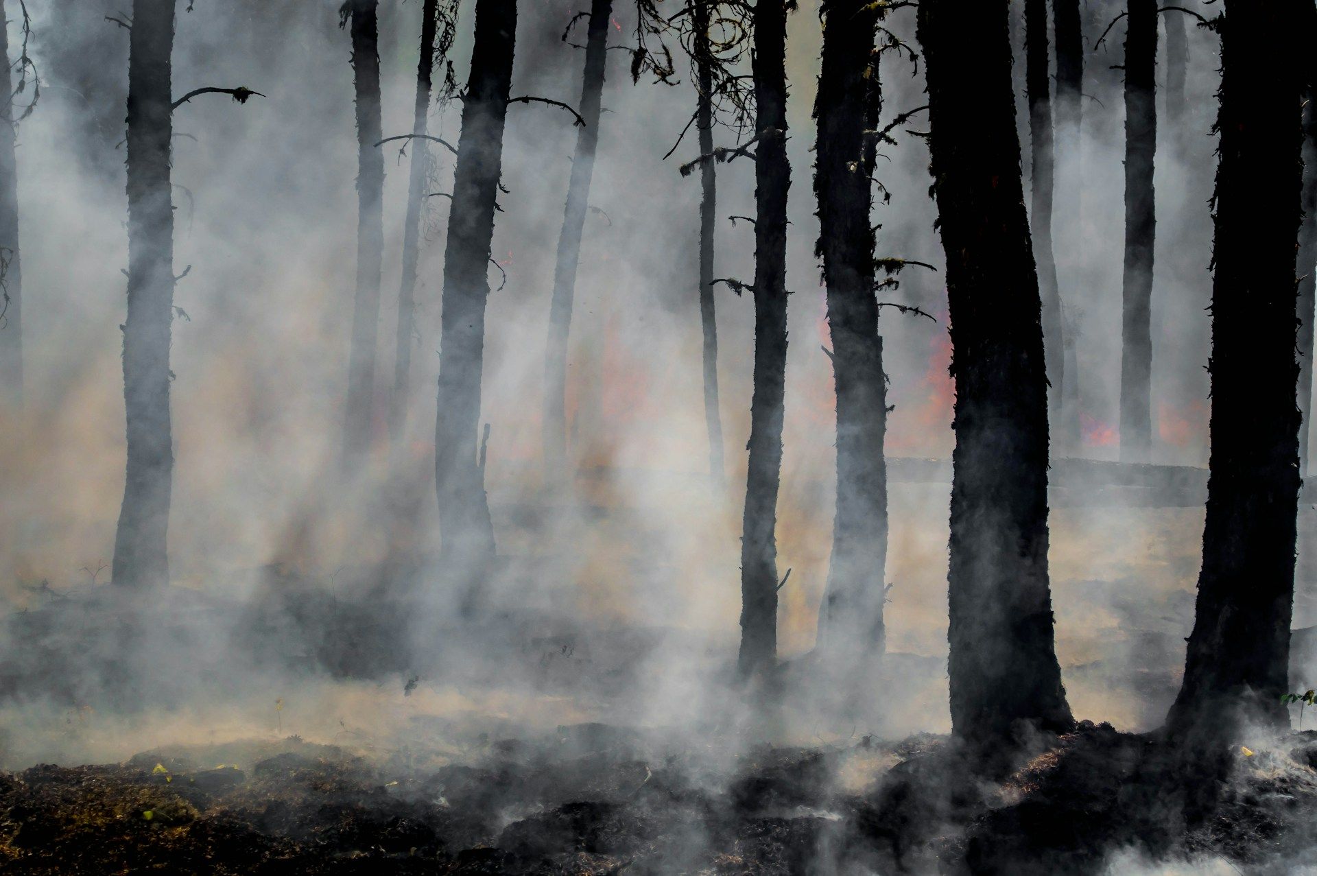 Incendio controlado