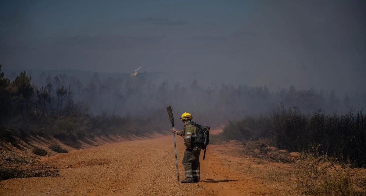 En lo que va de año, los 28 grandes incendios forestales declarados han arrasado ya 61.250 hectáreas. | Foto: Greenpeace
