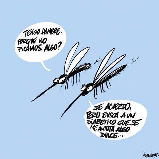 Verano y mosquitos