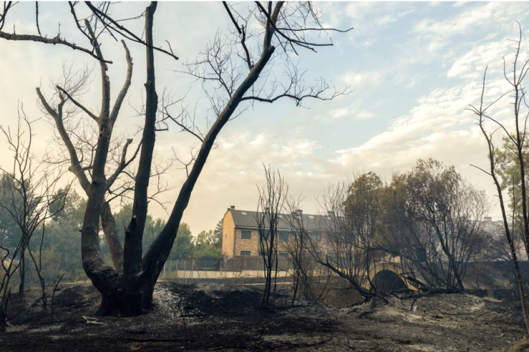Madrid en llamas: miles de viviendas y negocios siguen sin protegerse ante incendios forestales