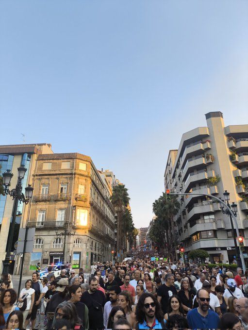 Protestas por la mala gestión de los incendios en varias autonomías