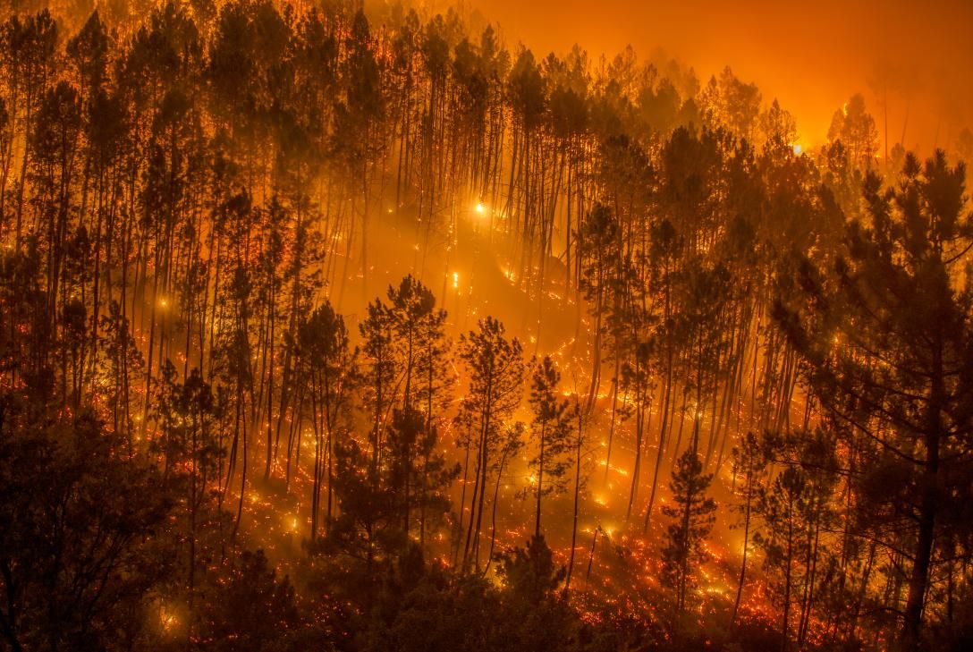 incendios
