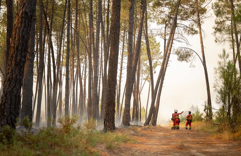 Miembros de la Unidad Militar de Emergencia en Ourense, foto UME El oligopolio del fuego