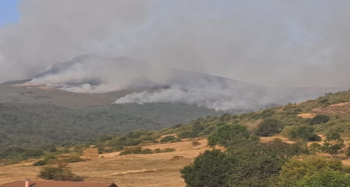 La Ley 3/2009 de Montes de Castilla y León dice que los aprovechamientos cinegéticos tras un incendio deben suspenderse de manera automática y sin derecho a compensación durante un período de cinco años en los terrenos afectados. | Foto: Ecologistas en Acción