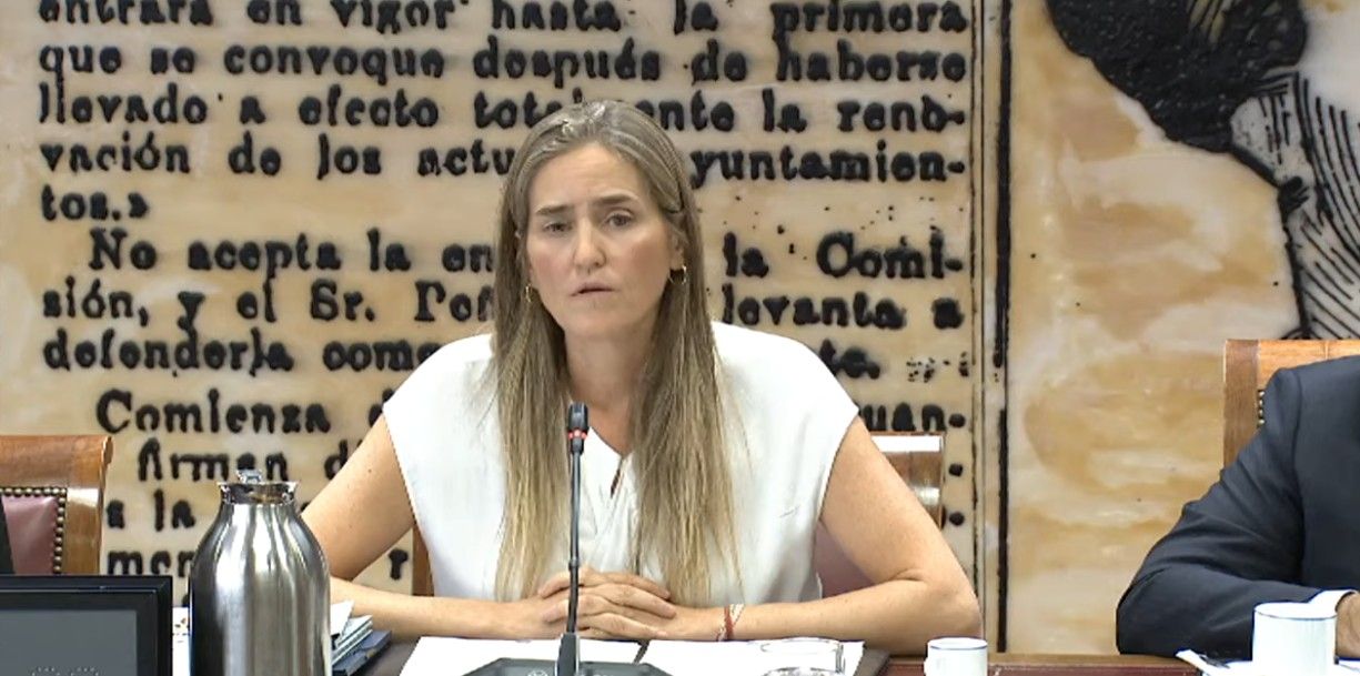 Aagesen Senado