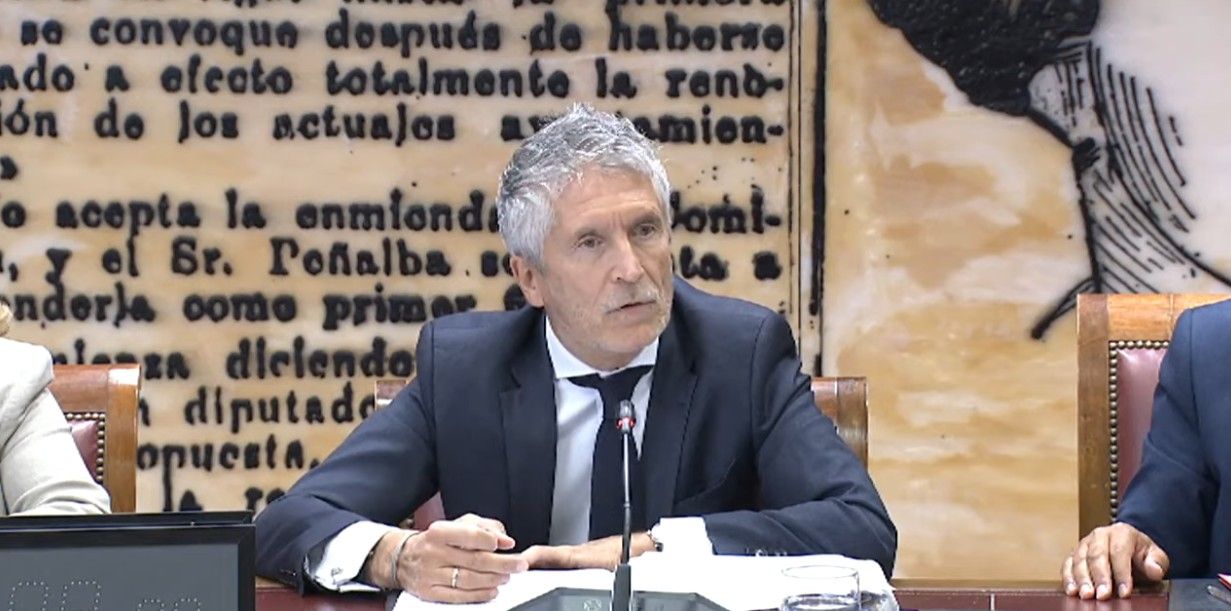 Marlaska Senado