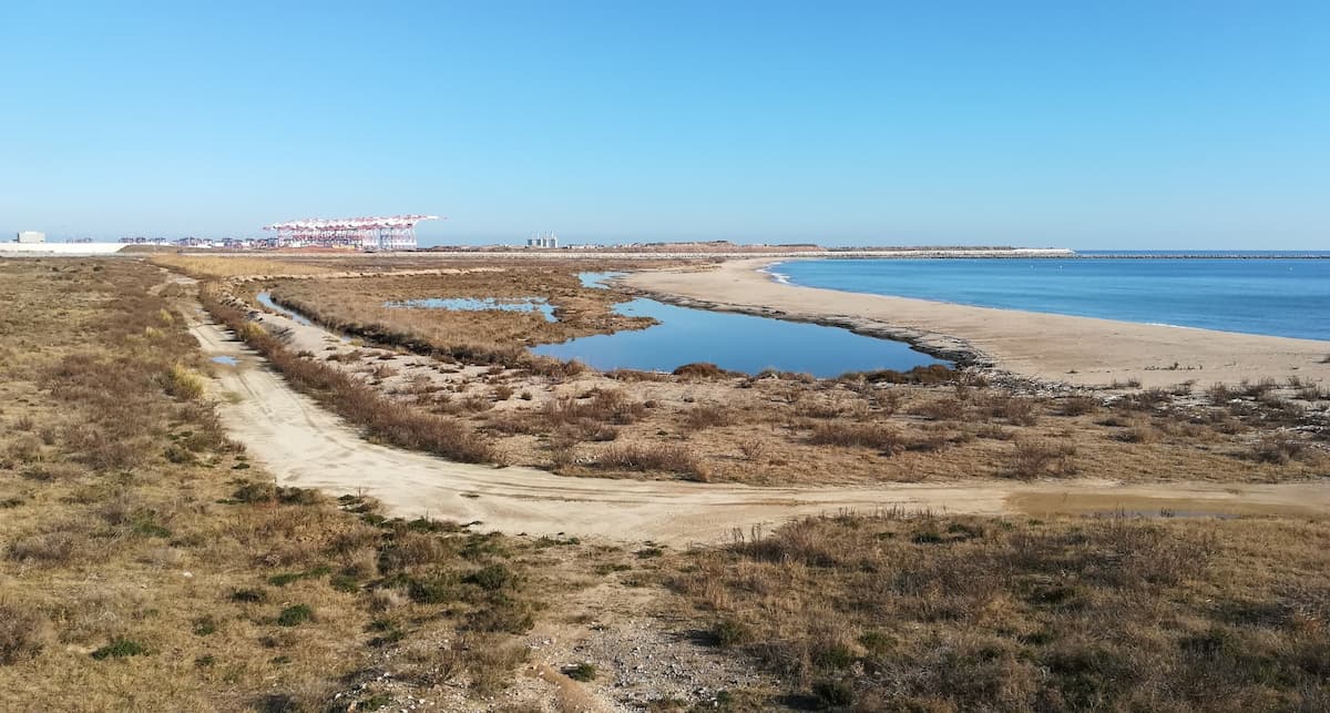 Delta del Llobgregat. | Foto: Jordi Prieto-SEOBirdLife