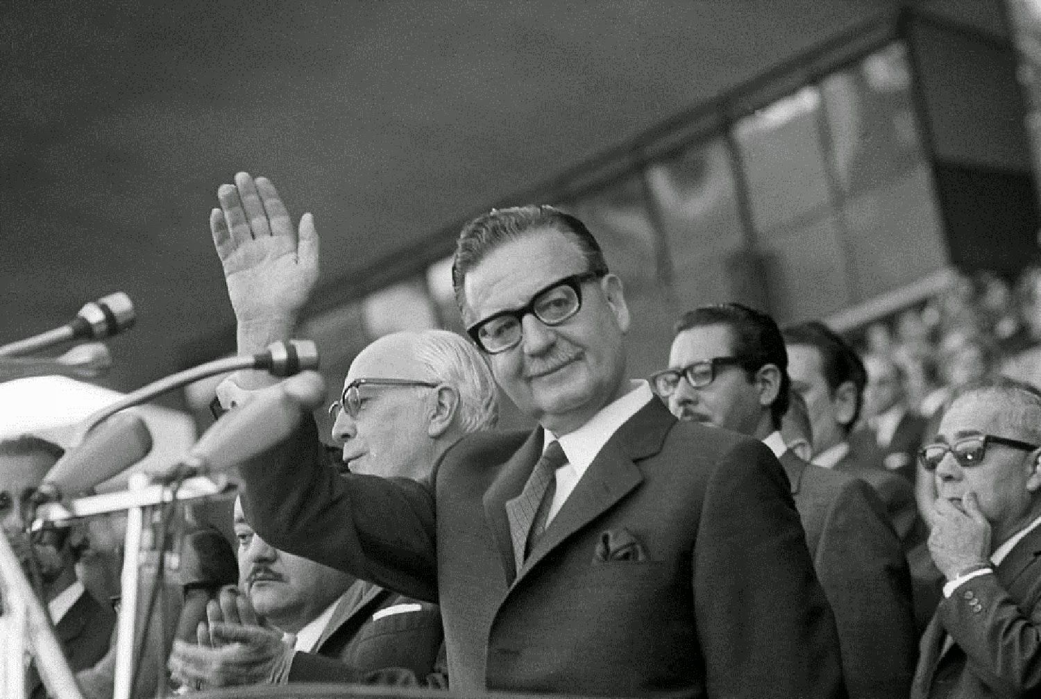 Allende Salvador "momios"