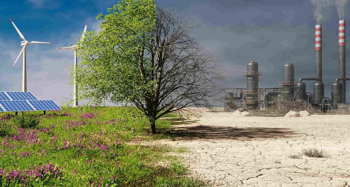 La lucha contra el cambio climático pasa por la educación ambiental en las aulas. | Foto: Adobe