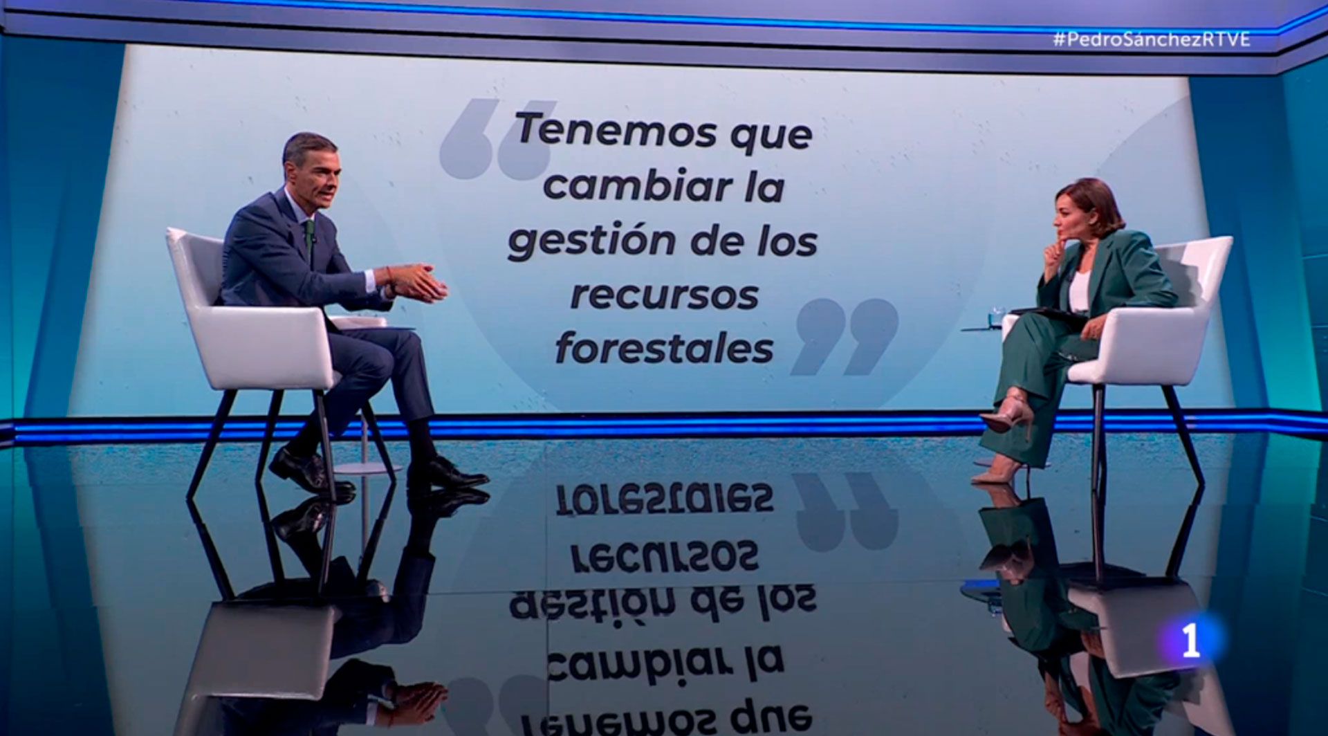 El presidente del Gobierno, Pedro Sánchez, este lunes en TVE. El presidente del Gobierno, Pedro Sánchez, este lunes en TVE.