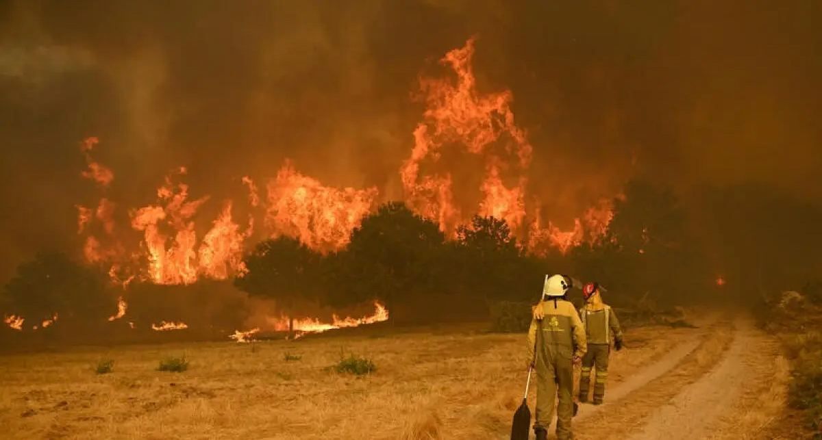 Greenpeace urge a que este no sea sólo un gesto político, sino un acuerdo fundamentado en la evidencia científica y la responsabilidad con las generaciones futuras.| Foto: Greenpeace