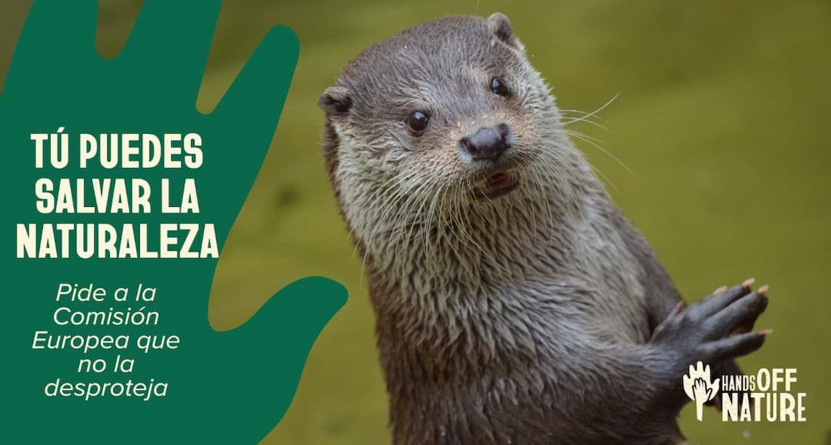 Imagen de la campaña lanzada por las organizaciones BirdLife Internacional, ClientEarth, WWF y el Bureau Europeo de Medio Ambiente.