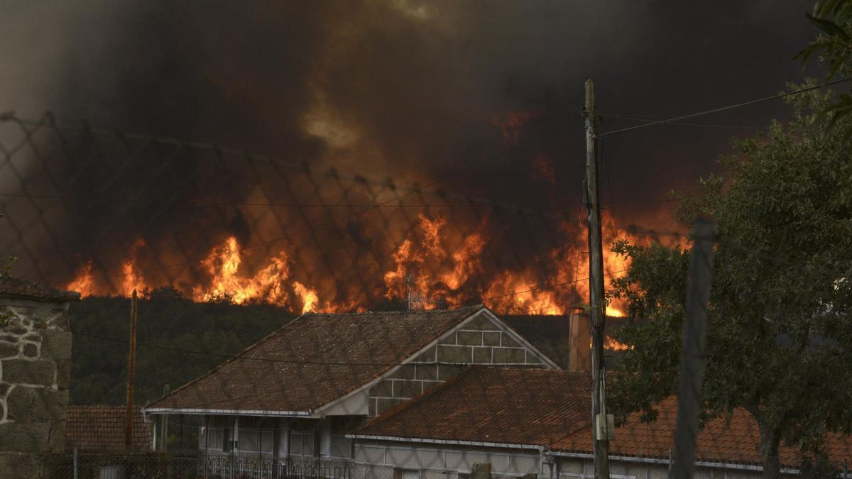 Incendio Galicia. Devastación y ¿desidia oficial "contra natura"?