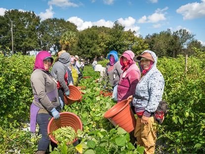 EEUU FRONTERA AGRICULTORES.