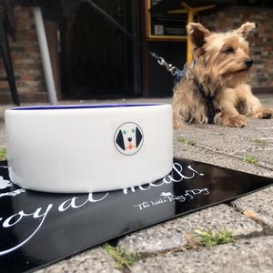 Perro sentado en terraza con Menu Canino DoggieSnax
